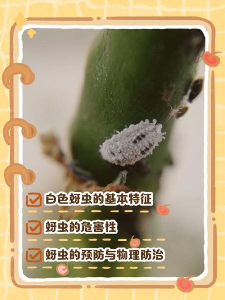 梦到白虫子是什么意思_梦见白色虫子预示什么