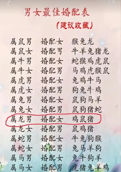 属狗和属兔的合不合_属相狗兔配对婚姻如何