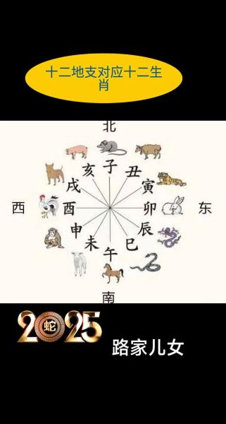 地支与属相的关系_生肖对应地支怎么算