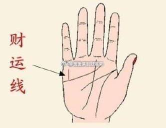 大拇指财运线怎么看_财运线短就一定穷吗