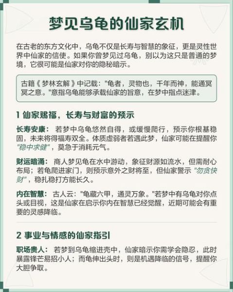 女人梦到乌龟是什么意思_女人梦见乌龟是吉兆吗