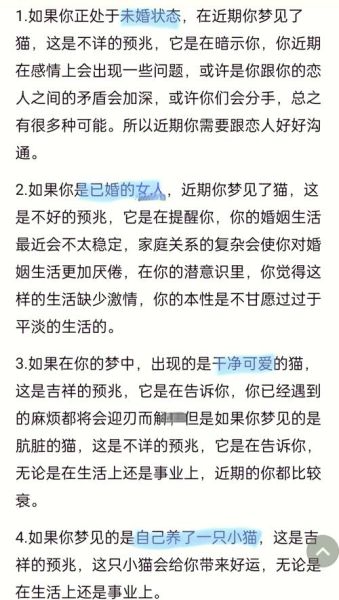 梦到小橘猫是什么意思_如何解读梦境
