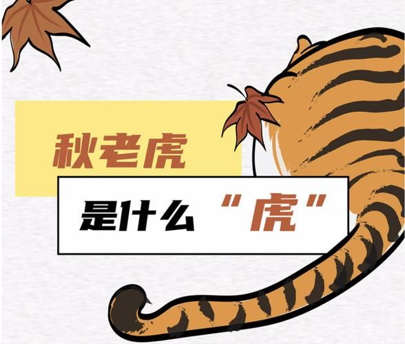 秋后老虎属相是什么_秋老虎生肖运势如何