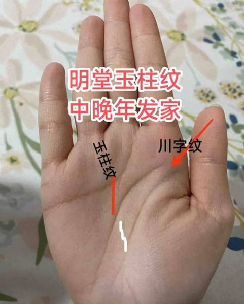 川字掌财运_川字掌手相怎么看财运
