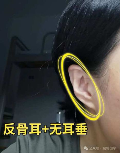 反骨的人财运怎么样_如何转运