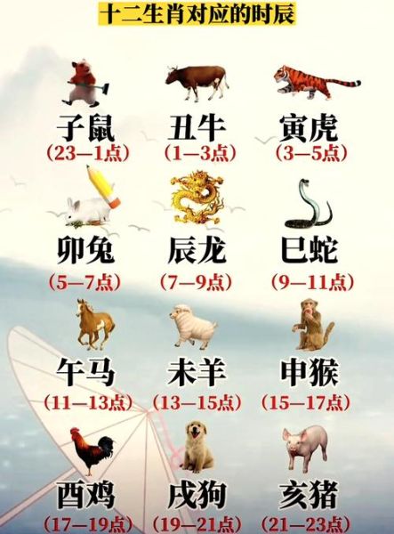 子时出生的鼠宝宝好吗_子时属鼠五行缺什么
