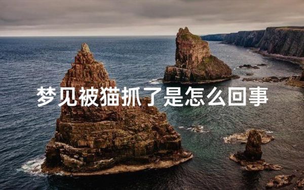 梦到被猫爪是什么意思_梦见被猫抓伤预示什么