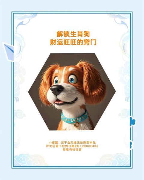 2017年属狗运势如何_2017狗年财运怎么样