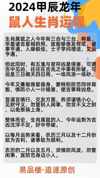 属鼠的人适合做什么生意_属鼠的人2024年运势如何