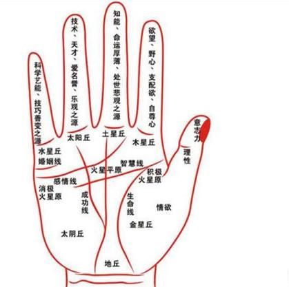 财运线横条怎么看_财运线横条真的准吗