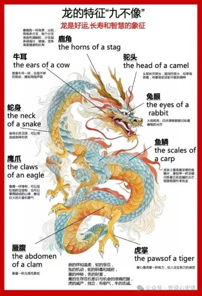 龙和哪些属相最合_龙和哪些属相最不合