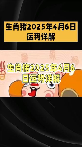 2017属猪是什么命_2017属猪运势如何