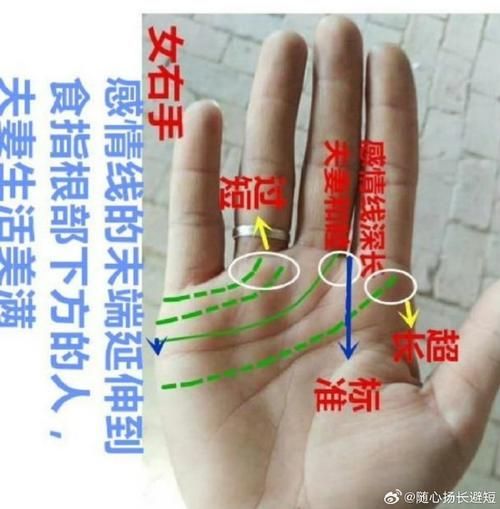 看手纹财运残_如何补救