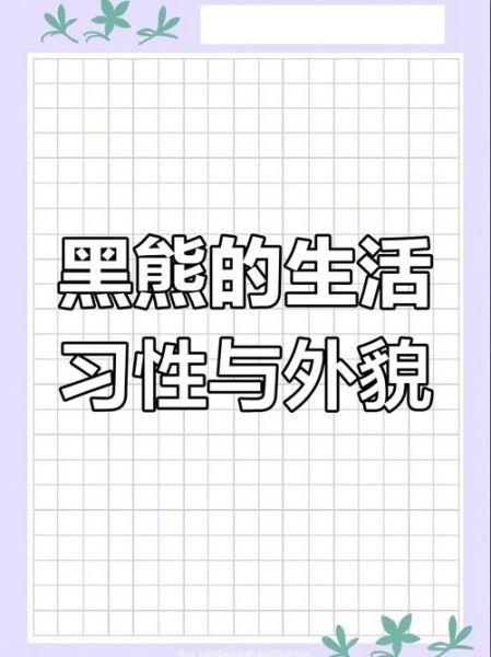 梦到打黑熊是什么意思_如何化解梦中暴力
