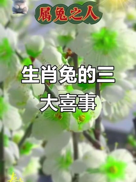 2017年属兔八月份运势_如何趋吉避凶