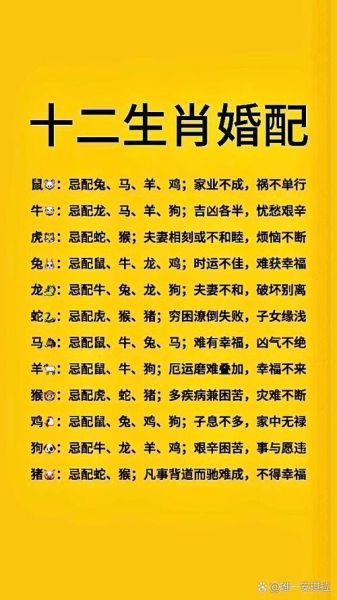 属相不合命不合怎么办_属相不合命不合能结婚吗