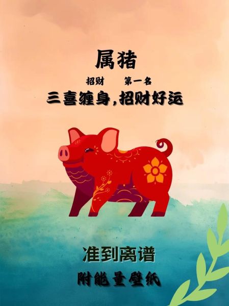 属猪的男人财运怎么样_属猪男人如何提升财运