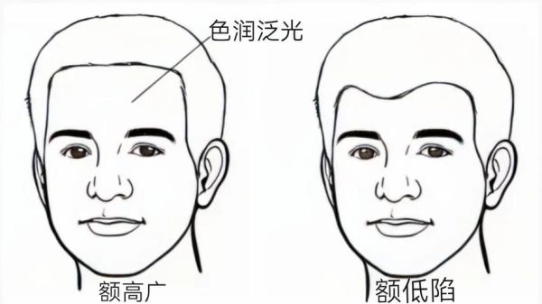 额头看财运是真的吗_额头高代表财运好吗