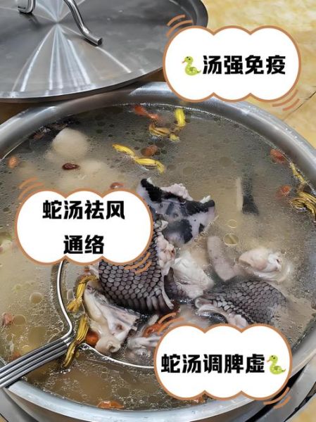 梦到吃蛇汤是什么意思_梦到吃蛇汤预示什么