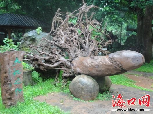 梦到男人生殖器_梦见男性器官代表什么