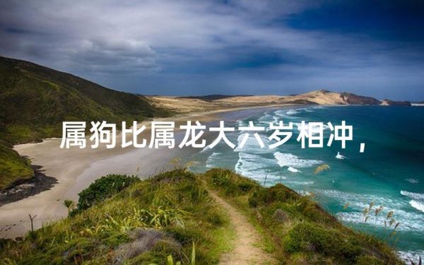 儿属龙母属狗相冲吗_如何化解母子生肖冲突