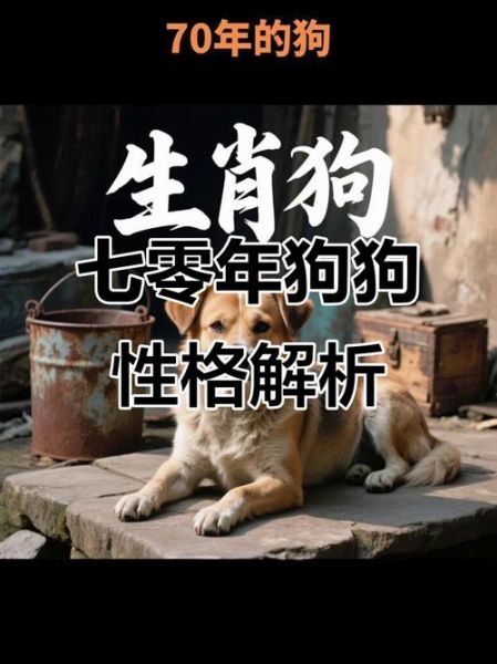 属狗的人性格特点_属狗出生年份查询