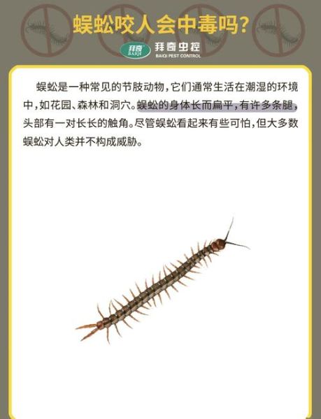 梦到被蜈蚣咬是什么意思_被蜈蚣咬梦境解析