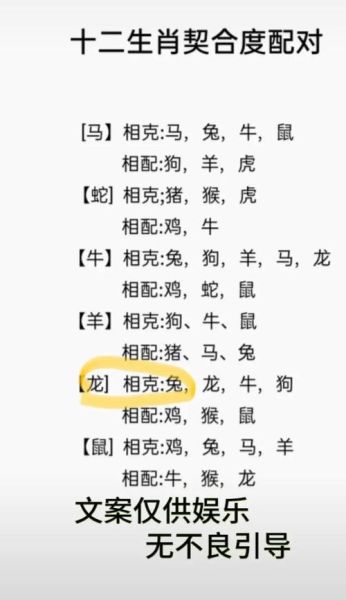 属龙女和属兔男合不合_婚姻能长久吗