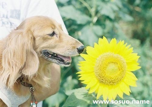 梦到黑水是什么意思_如何化解黑水噩梦