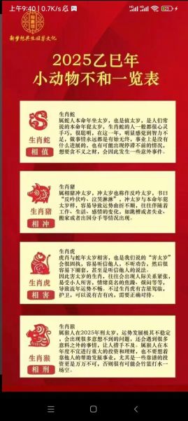 2016属猪男全年运势_属猪男2016年运势详解