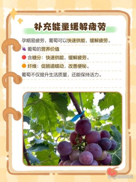 孕妇梦见摘葡萄吃是什么意思_胎梦预示男女吗