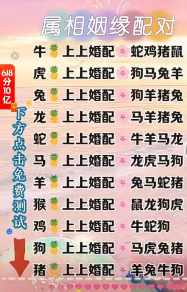 猪羊属相合吗_猪羊婚姻配对好吗