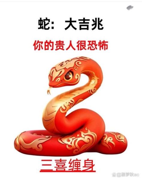 腊月蛇财运_如何提升偏财运