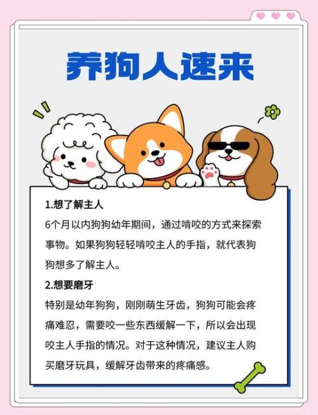 梦到黑狗咬是什么预兆_梦见黑狗咬自己手