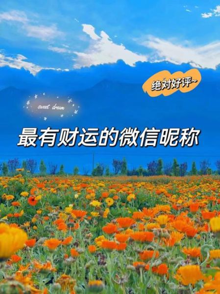 微信财运测试准吗_如何提升财运分数