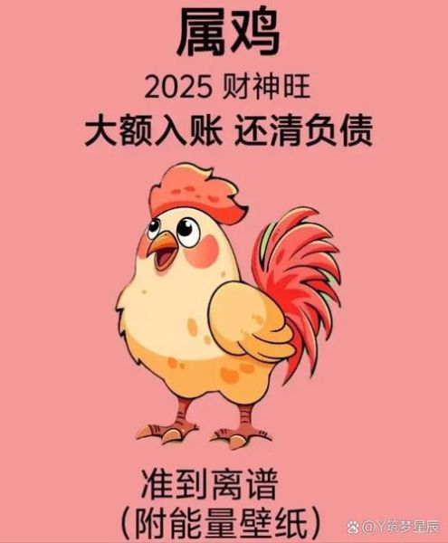 2015年生肖鸡运势详解_属鸡人今年财运如何