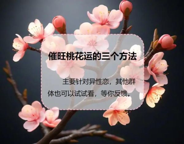 旺财运催桃花_怎么布局最有效