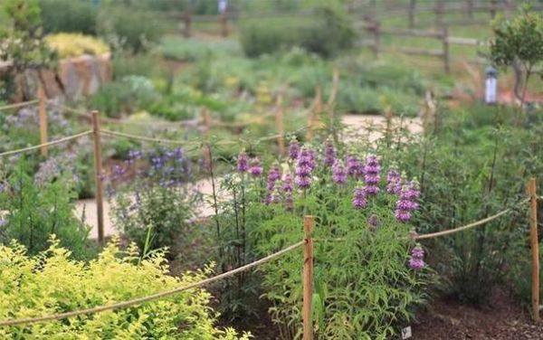 梦到花园是什么意思_梦到花园预示着什么