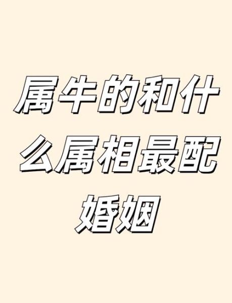97年属牛和什么属相最配_97年属牛婚配禁忌