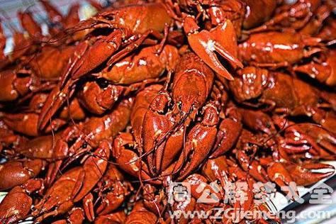 梦到龙虾是什么意思_周公解梦龙虾预兆