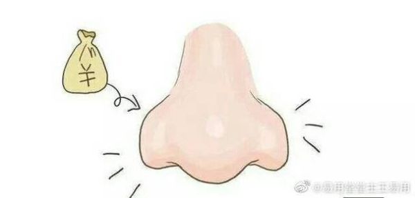 鼻子小偏财运_鼻子小的人财运真的差吗