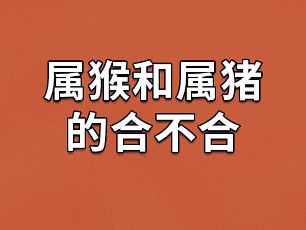 属猴和属猪财运相冲吗_如何化解