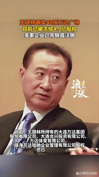 王健林属相是什么_王健林属龙运势如何