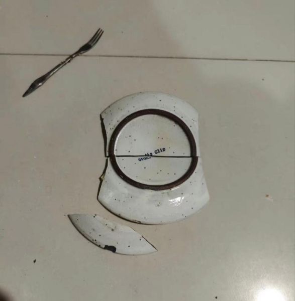 梦到摔盘子是什么意思_梦见摔碎盘子预示什么