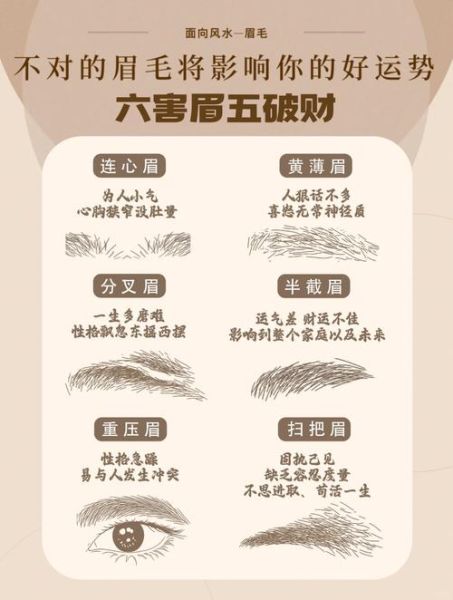 眉毛是财运吗_眉毛影响财富吗