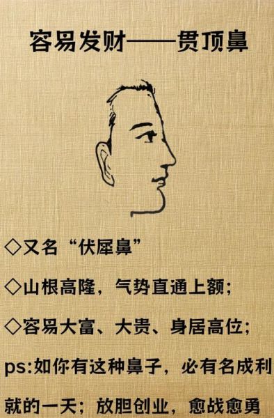 鼻子鼻翼饱满财运_鼻翼大真的招财吗