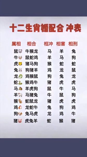 年号属相婚配_哪些组合最旺