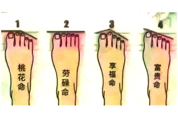脚趾运势怎么看_脚趾长短代表什么命运