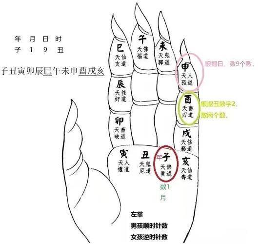 生辰日属相怎么查_属相和命运有关吗