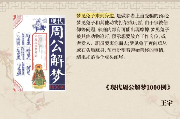 梦到兔子是什么意思_梦见兔子代表什么